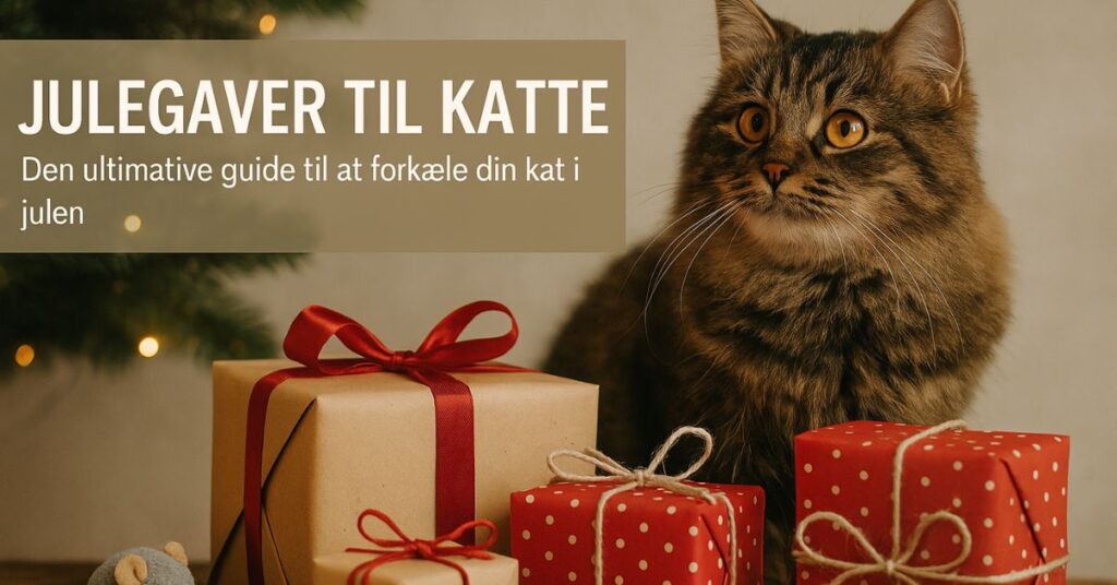 Julegaver til katte