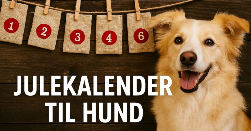 Julekalender til hund